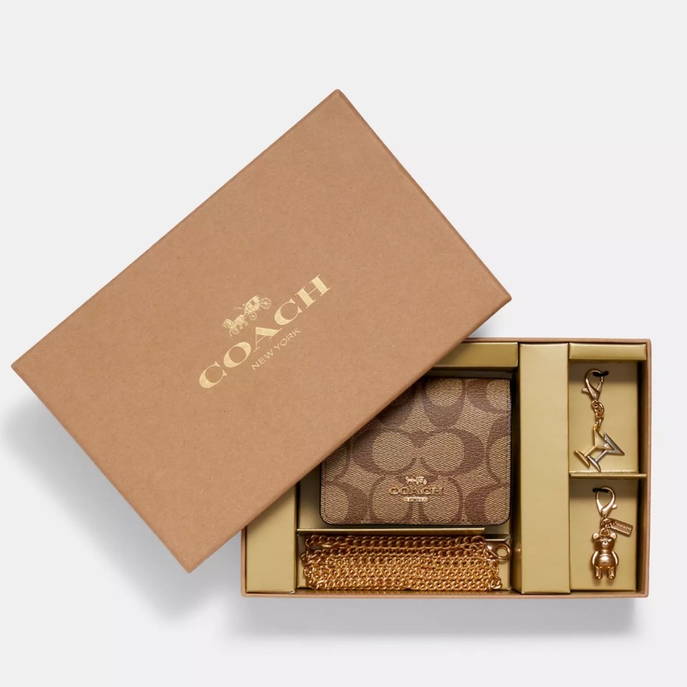 NWT Coach Boxed Mini Wallet on a Chain in Blocked
Signature Canvas